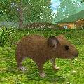 Mouse Simulator MOD APK v1.53 (Free Rewards High)