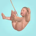 Idle 9 Months v1.41.7 MOD APK (Unlimited Cell, Nutrition)