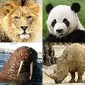 Animals Quiz Learn All Mammals v3.9.0 MOD APK (Unlimited Money)