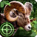 Wild Hunter 3D v1.0.15 MOD APK (Unlimited Money)