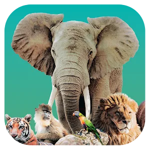 Ark Nova v1.0.5 APK (Full Game)